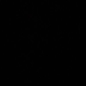 Meet your Posher, Nicholas